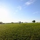 IMG_20201020_211423