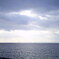 新舞子海岸