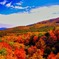紅葉のメルヘン街道