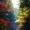 紅葉と光芒