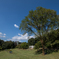 七沢森林公園