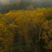 「弦ヶ池の紅葉」