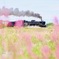 はるいろの秋路