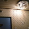 DAA49F6C-4A1B-42D8-8332-0C1D2BBB6AC9