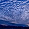 夕方のうろこ雲