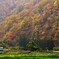 秋田内陸縦貫鉄道