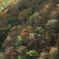 仙人峠の紅葉