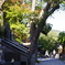 お寺