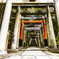 東福寺2018 五社成就宮