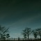 marsh