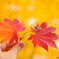 Autumn Stars