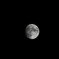 １３夜