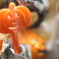 ははは！ハロウィン3（ささやかなTrick or Treat）