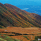 草紅葉の千畳ヶ原と天主森の紅葉斜面。