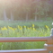 秋　夕方