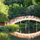 橋