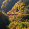高井橋