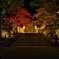 夜明け前の正門～金剛峯寺