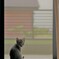 君の存在は私への明かり