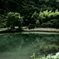 池を撮影しました