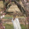 野鳥？