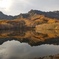 20201101_160329