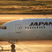 JAL in Haneda