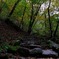 IMG_20201103_154554_488