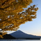 秋の富士山
