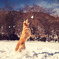snow catching