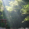 溝ノ口洞窟