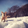 snow run