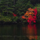 紅葉
