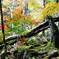 20201103_202723
