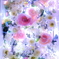 光と 華と