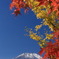 紅葉と富士山-2