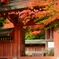 京都 神護寺 紅葉の見頃に迎え