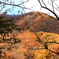 秋の碓氷峠