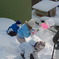 屋根の雪下ろし
