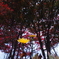20201108