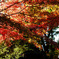 10/31 懐古園