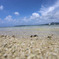 海へ