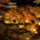 郡上八幡城の紅葉