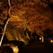 郡上八幡城の紅葉