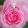 薔薇の香り♡
