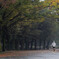 駒沢公園