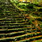 丹波紅葉高源寺