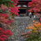 秋寺