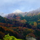 紅葉と雪のコラボレーション