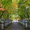 丹波　高山寺